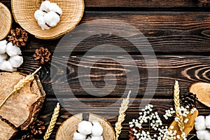 Wooden stumps, immortelle and pine cones for blog background top view space for text