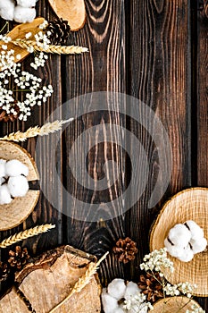 Wooden stumps, immortelle and pine cones for blog background top view space for text
