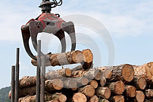 Wooden stumps on a truck