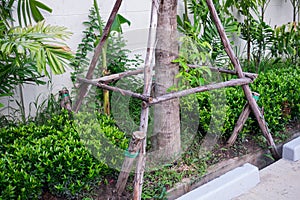 Wooden supporting post for tree replant