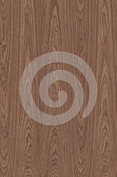 Wooden surface background texture. Lamber timber wood.
