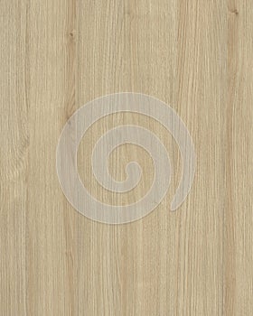 Wooden surface background texture. Lamber timber wood. photo