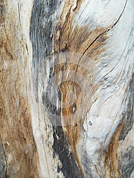 A mazing wooden Surface