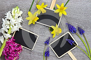 Wooden surface with colorful springflowers