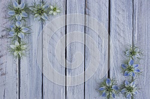 A wooden surface framed by flowers 1