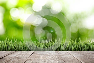 Wooden surface and grass against blurred background. Spring time