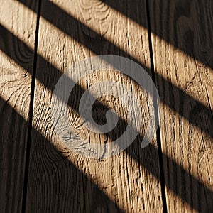 Diagonal shadows create contrast, suggesting sunlight filtering through