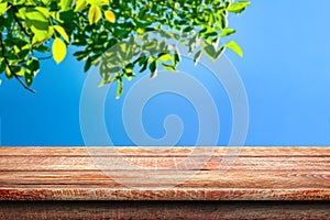 Wooden surface. Painted boards. Old table. Table surface. Wooden table against the background of the blue sky and foliage