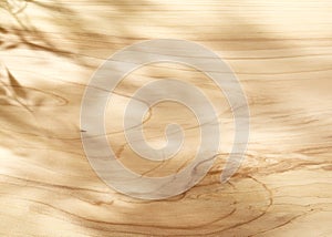 Wooden surface in sunny light