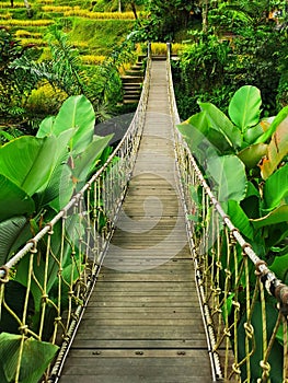 Wooden suspended bridge at the Alas Harum entertainment centre on the Bali island in Indonesia photo