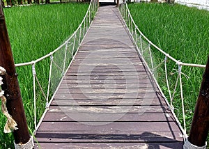 The wooden suspension bridge