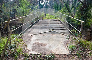 Wooden suspension bridge in the forest