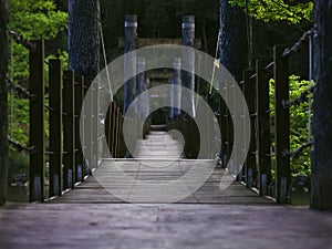 Wooden suspension bridge in forest with no people