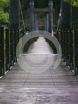 Wooden suspension bridge in forest with no people