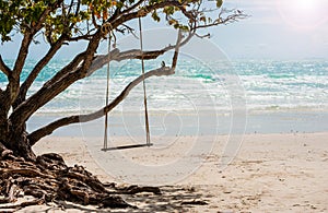 Wooden swing against paradise beach scene