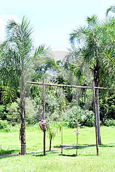 Wooden swing in the garden with flower arrangements