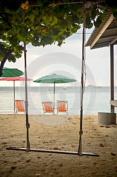 wooden swing hangin on tree at tropical beach photo