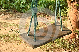 wooden swing hanging by robe from tree branch in evening