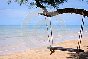 Wooden swing hanging from a tree on the beach.