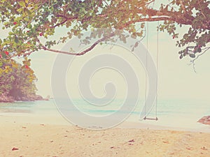 wooden swing hanging under big tree on the beach