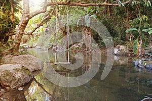 The wooden swing is hung on the branches above the stream in a calm and relaxing atmosphere.