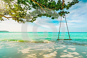 Wooden swings hang from branch of tree at seaside. Emerald green sea water with blue sky and white clouds on summer. Summer vibes.