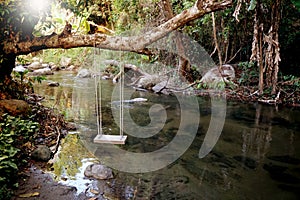 The wooden swings hanging under a trees beside the river.