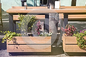 Wooden table with a bench for sitting and a flowerpot.