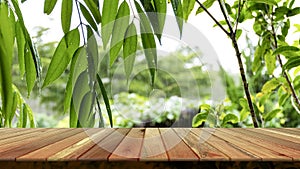 Wooden table and blurred green leaf nature in garden background. Free place for creativity. Background