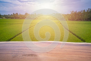 Wooden table brown wooden floor for placing something beside Top view paddy field, Lush green rice beautiful background