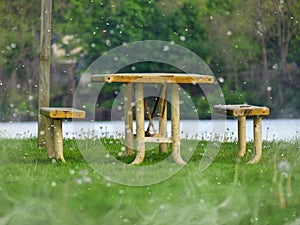 Wooden table and chairs in a garden on a sunny day