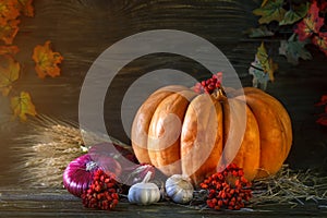 The wooden table decorated with vegetables, pumpkins and autumn leaves. Autumn background. Schastlivy von Thanksgiving