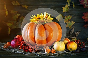 The wooden table decorated with vegetables, pumpkins and autumn leaves. Autumn background. Schastlivy von Thanksgiving