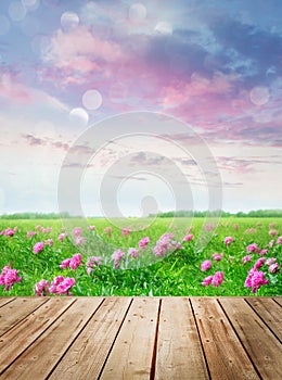 Wooden table with flowers in meadow