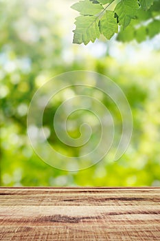 Wooden table and fresh green leaves with blurred nature garden background. Spring nature season.