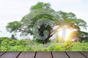 wooden table in front of Blurred background natural green and big trees in the garden