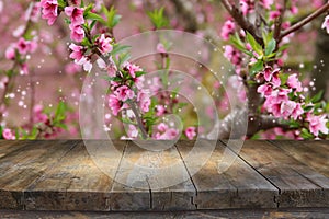 wooden table in front of spring blossom tree landscape. Product display and presentation.