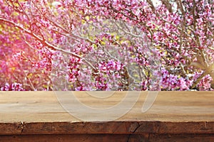 wooden table in front of spring cherry tree