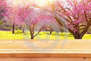 Wooden table in front of spring cherry tree