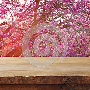 Wooden table in front of spring cherry tree