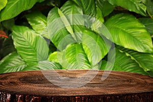 Wooden table in front of tropical green floral background. for product display and presentation