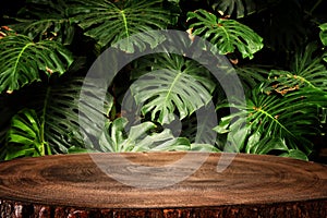 Wooden table in front of tropical green Monstera leaves floral background. for product display and presentation