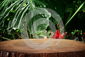 wooden table in front of tropical green Monstera leaves floral background. for product display and presentation