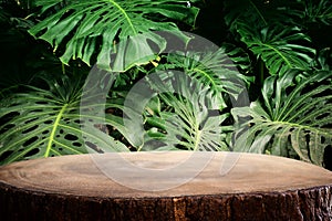 wooden table in front of tropical green Monstera leaves floral background. for product display and presentation