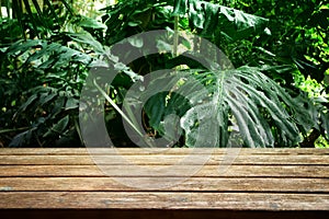 wooden table in front of tropical green Monstera leaves floral background. for product display and presentation