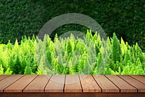 Wooden table on a green garden background for image editing