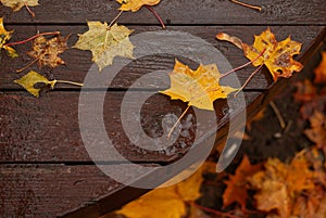 wooden table with leaves in the autumn park