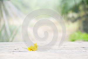 Wooden table on nature garden background for presentation product