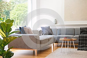 Wooden table next to grey corner couch in living room interior w