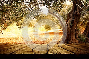 Wooden table with olive tree